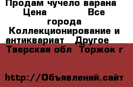 Продам чучело варана › Цена ­ 15 000 - Все города Коллекционирование и антиквариат » Другое   . Тверская обл.,Торжок г.